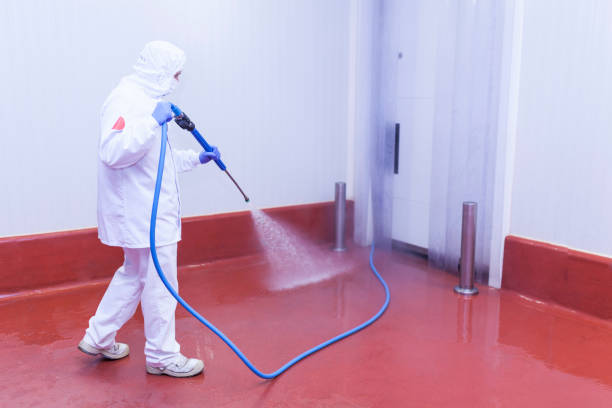  Kahaluu, HI Pressure Washing Pros